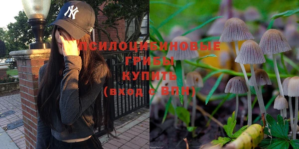 хмурый Абинск