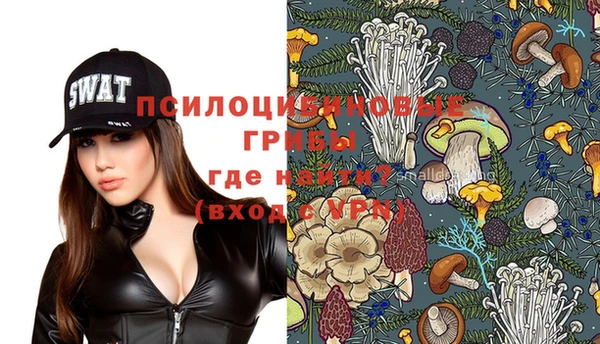 apvp Абдулино